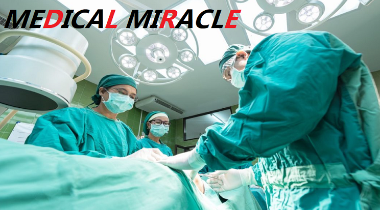 Medical A World Of Miracle: Toulouse, France