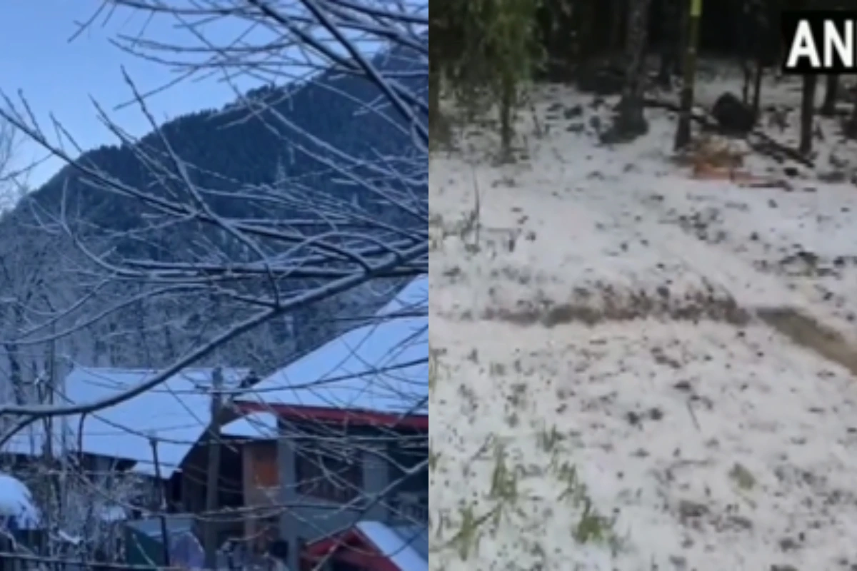 Weather Update: Cold Wave In North India, Hailstone Fell In Assam, Snowfall In Kashmir