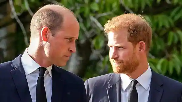 Prince Harry: William Physically Attacked Me During Fight Over Meghan
