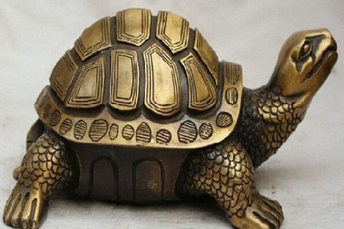 Feng Shui With Tortoise: Keep it as per Feng Shui, Wealth will increase and you will get success
