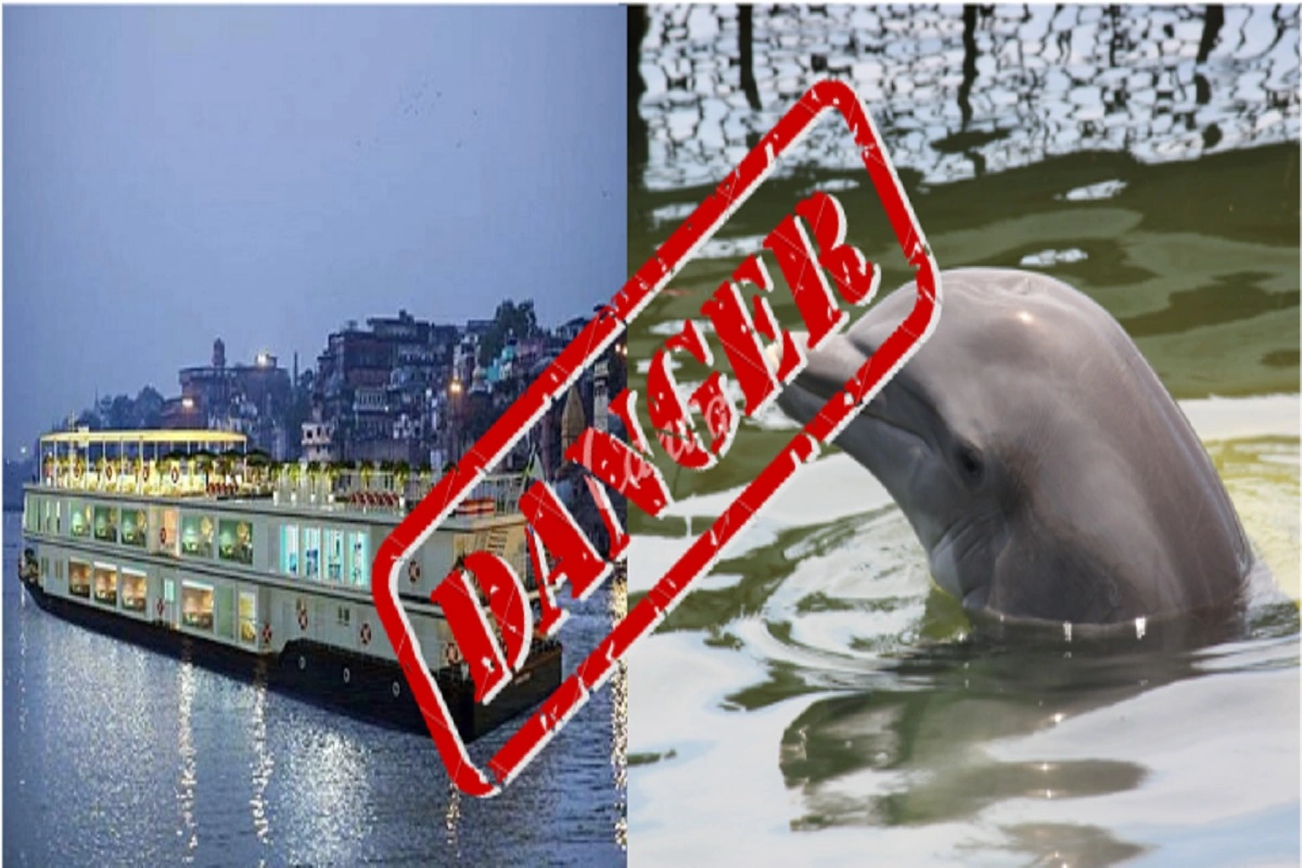 World’s Longest River Cruise: Endangered Ganges Dolphin Way To Its Extinct, Says Expert