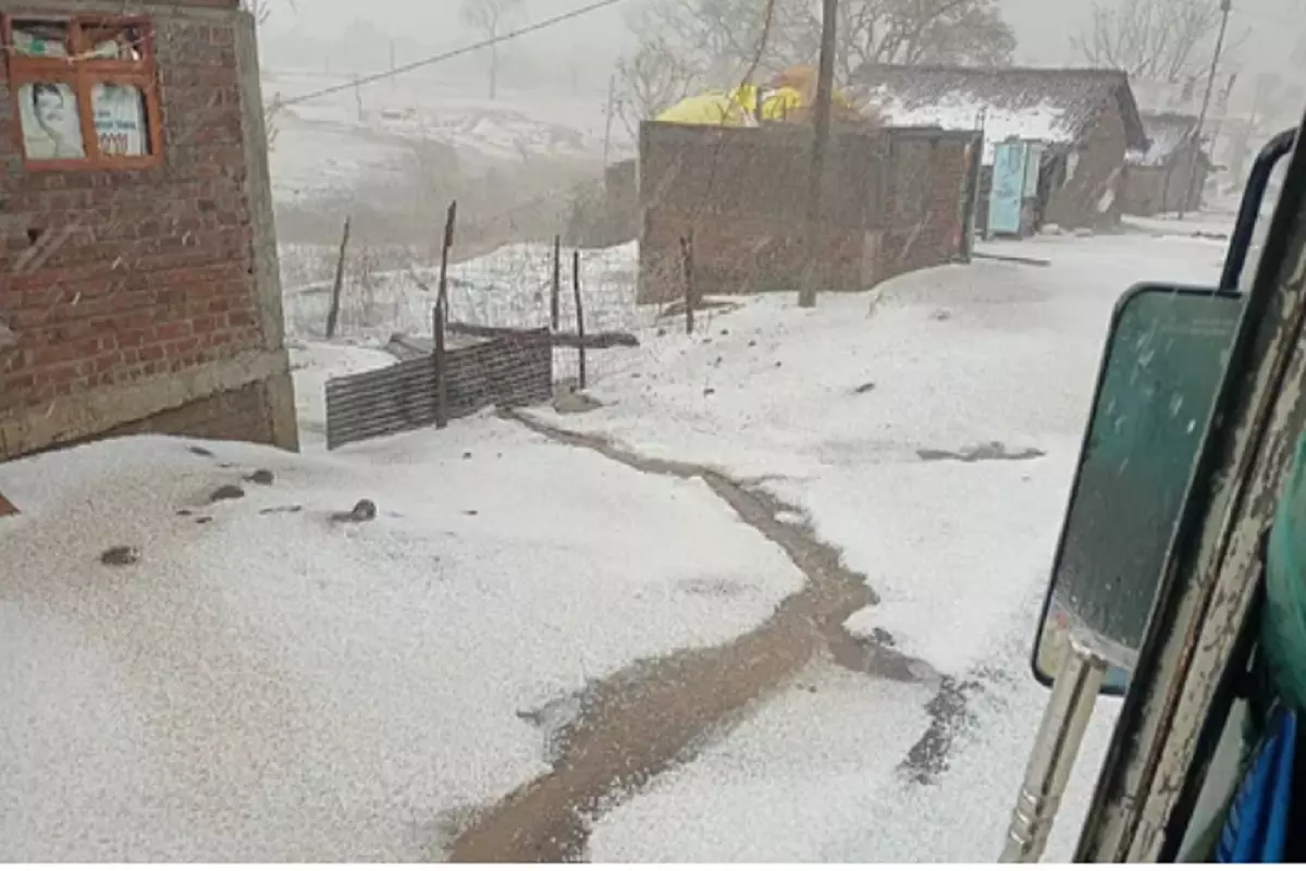 Kashmir Like Snow In Madhya Pradesh? See What Hailstorm Did To The State And Crops