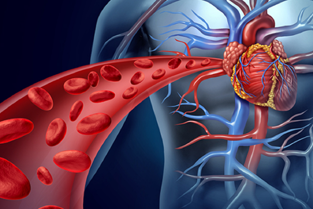 Repair heart injuries through cell programming