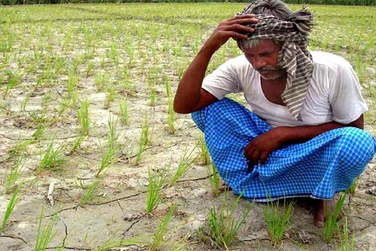 Maharashtra: 5 Die In Unseasonal Rains, Hailstorms In Marathwada; Crops Destroyed