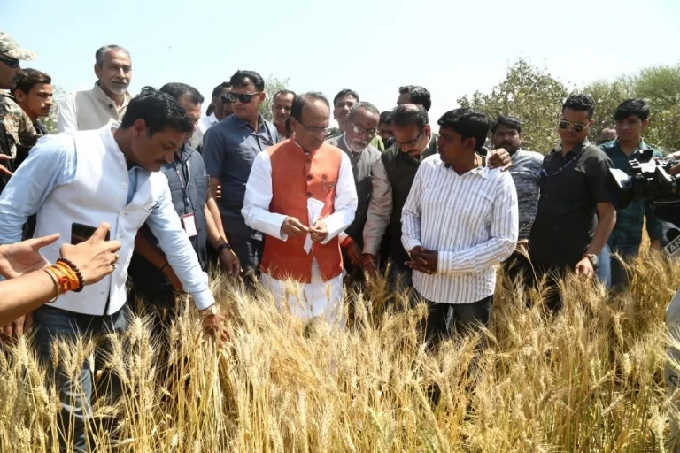 CM Shivraj Singh Chouhan Inspectes Farmers’ Hail-Damaged Crops