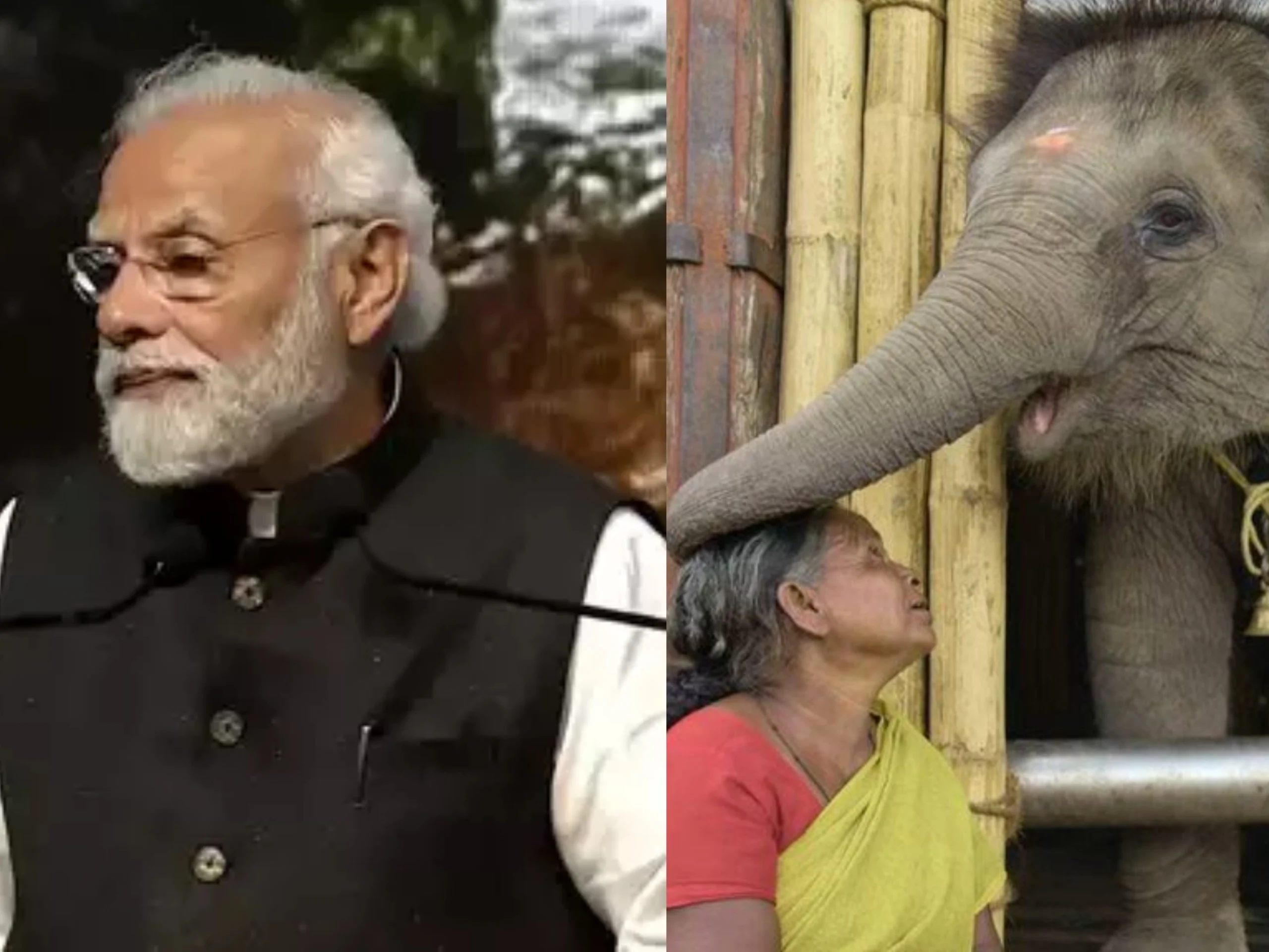 PM Modi Meets The Famous Couple Featuring Oscars Winning Short Film ‘The Elephant Whisperers’