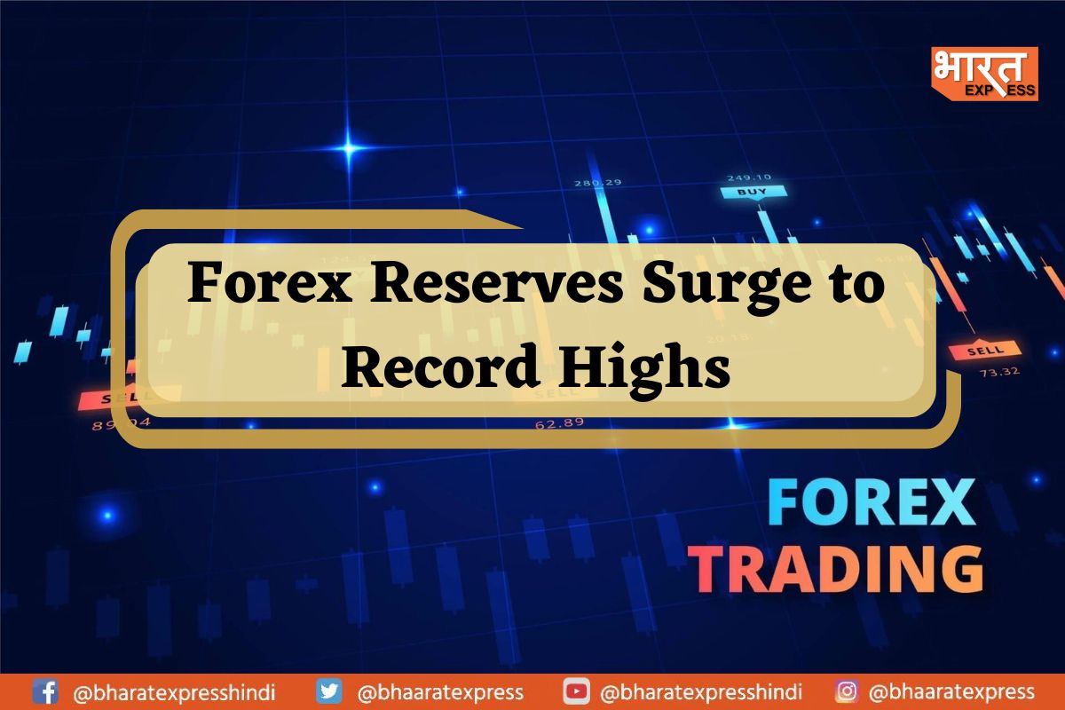 FOREX Reserves Surge to Record Highs, Boosting Economic Outlook