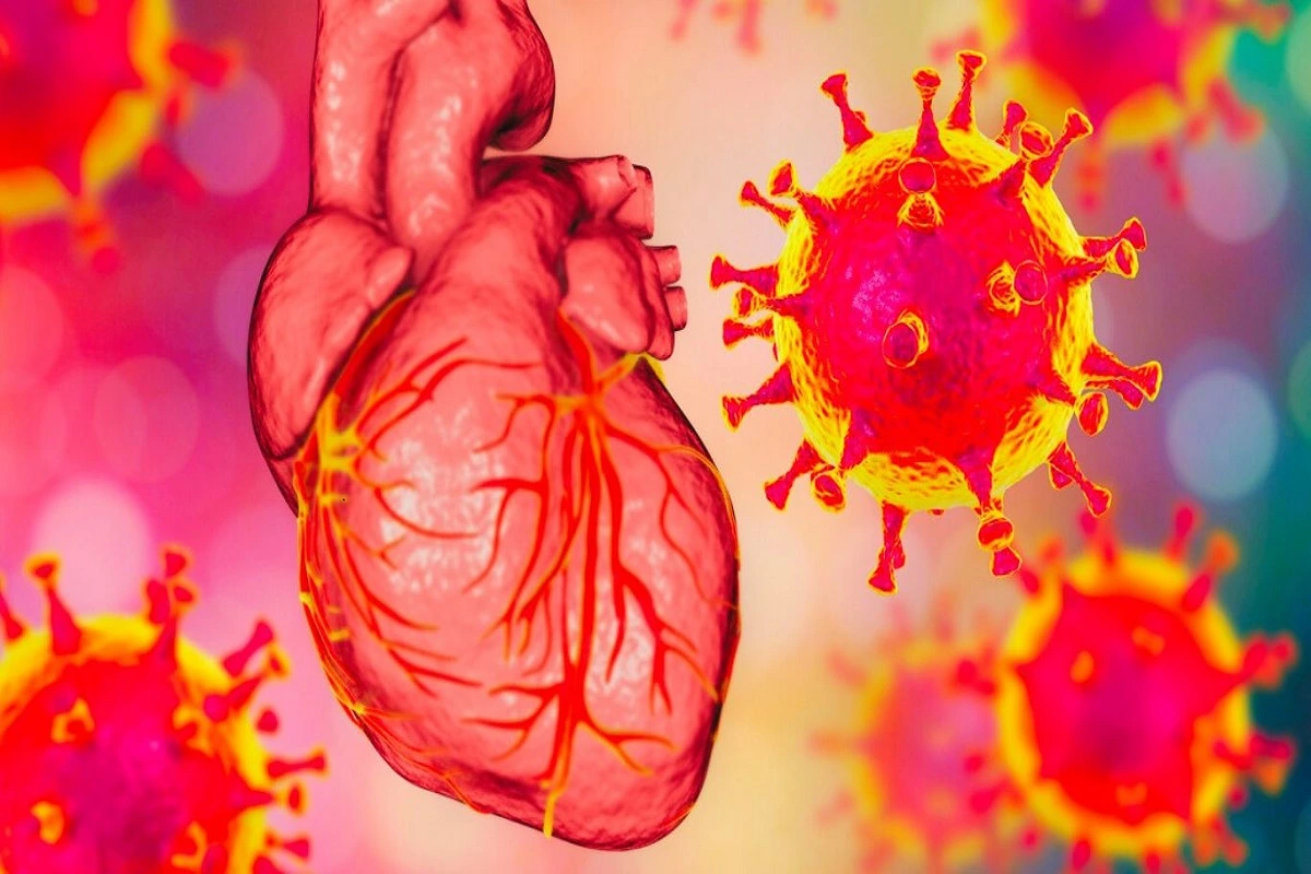 Even Mild Covid Infection Can Harm Heart Health, Study Finds