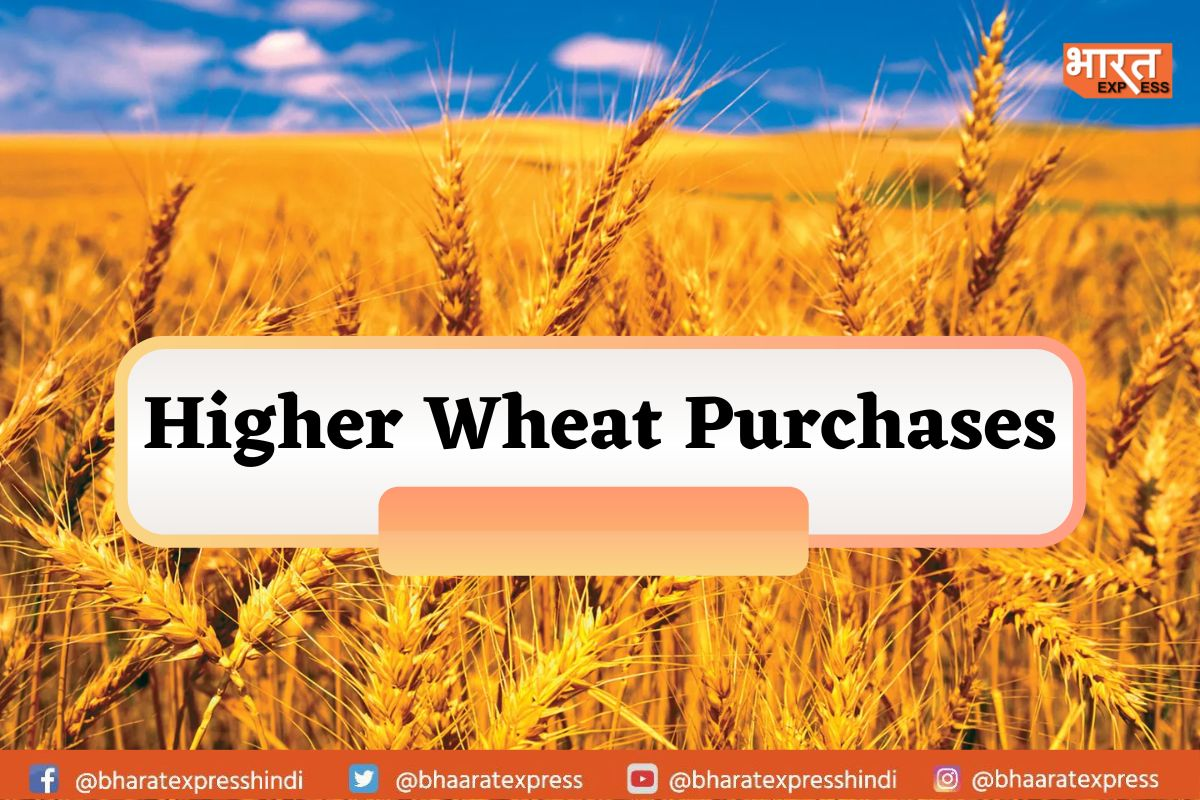 Wheat Purchases Cross 2.5 MT, Witnessed Marginal Increase in MSP