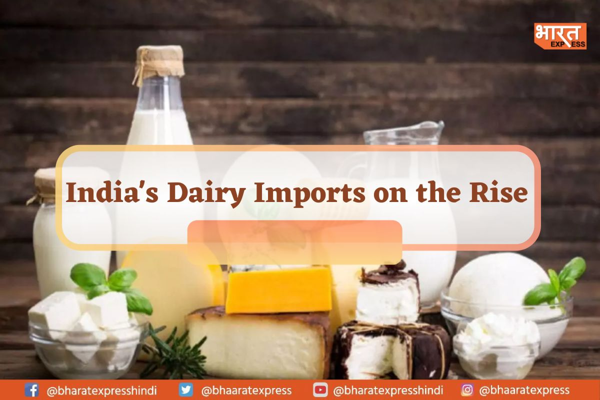 Indian Dairy Industry Struggles to Meet Demand: Imports Likely to Increase