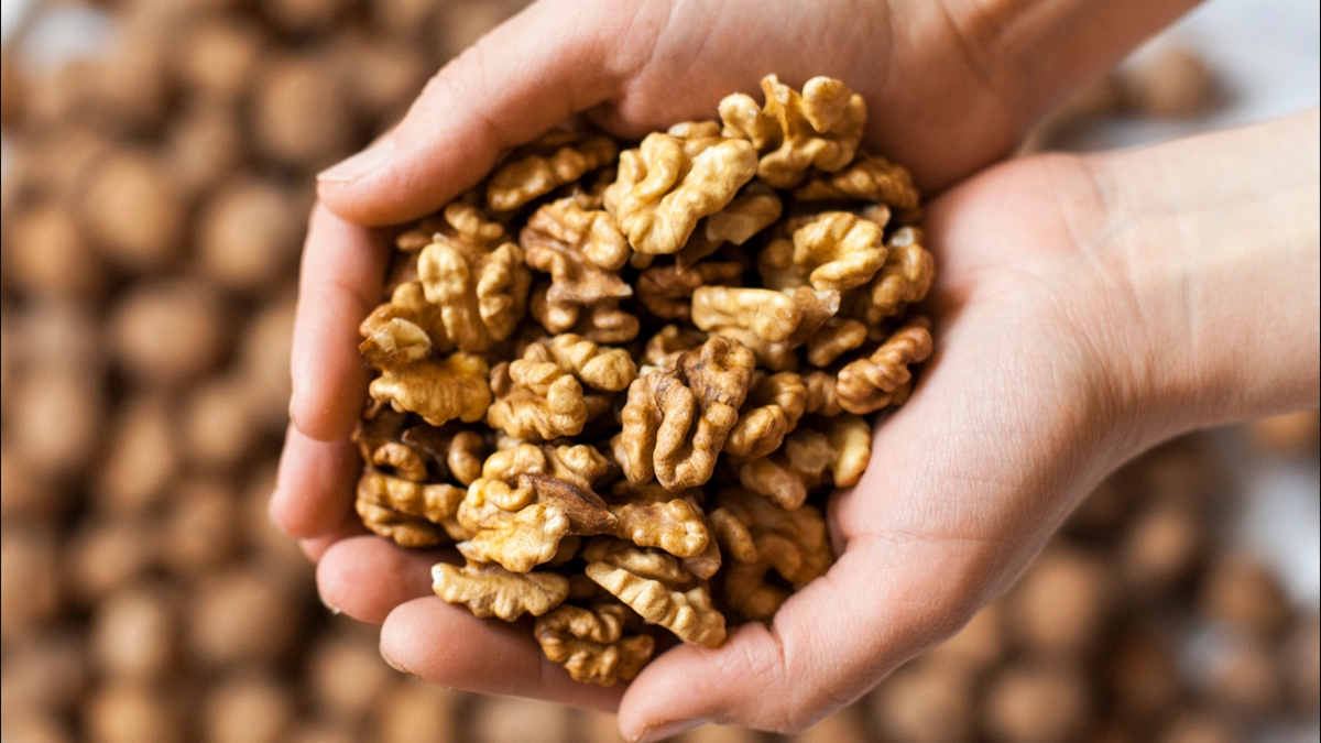 Study Shows A Handful Of Walnuts Daily May Boost Attention & Intelligence