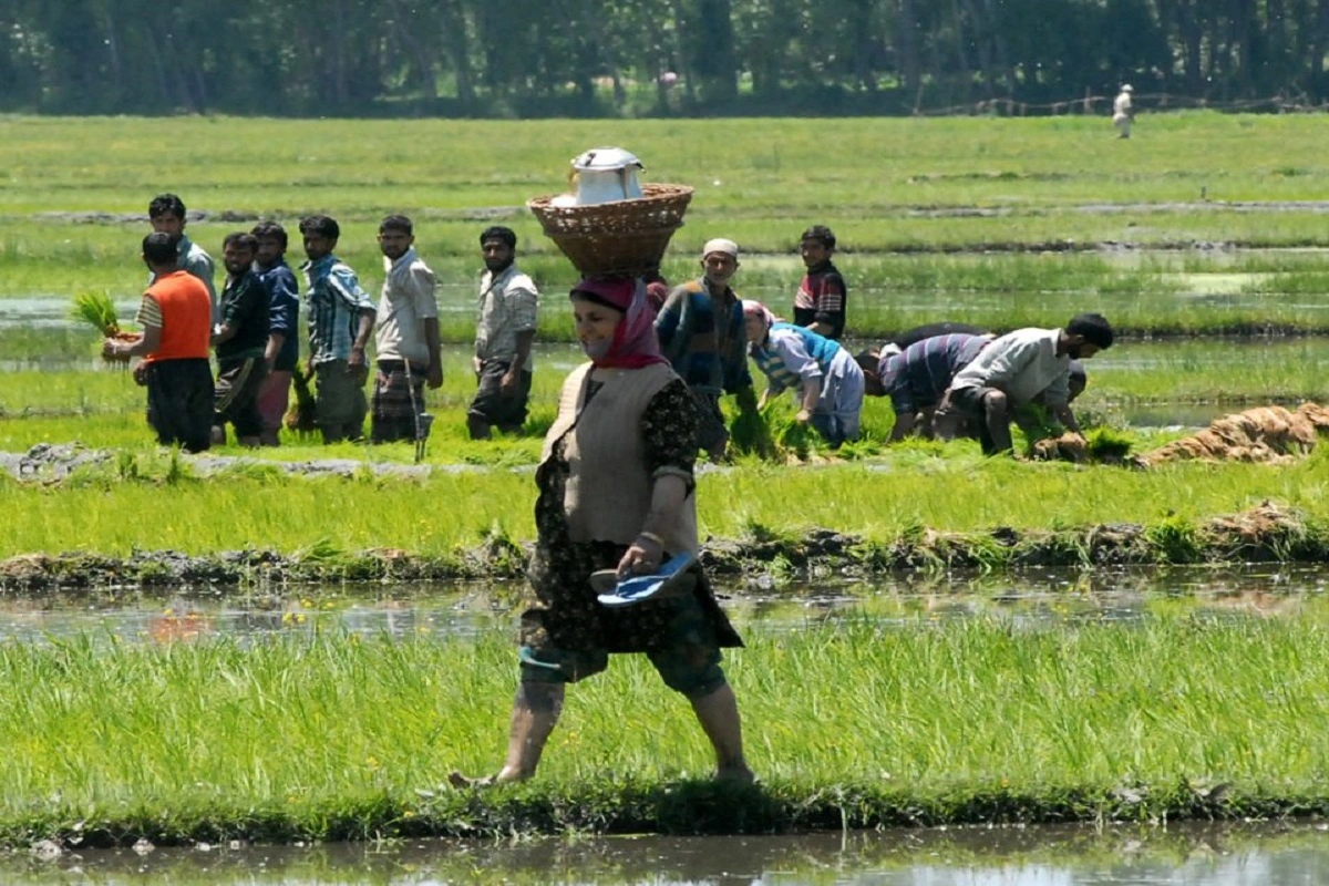 Holistic Agriculture Development Plan Will Double J-K’s Agricultural Output