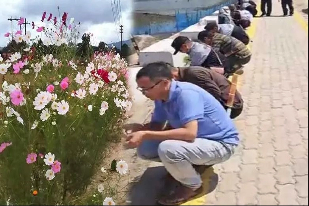 Arunachal: Ziro Sets A Record In Flower Plantation Drive