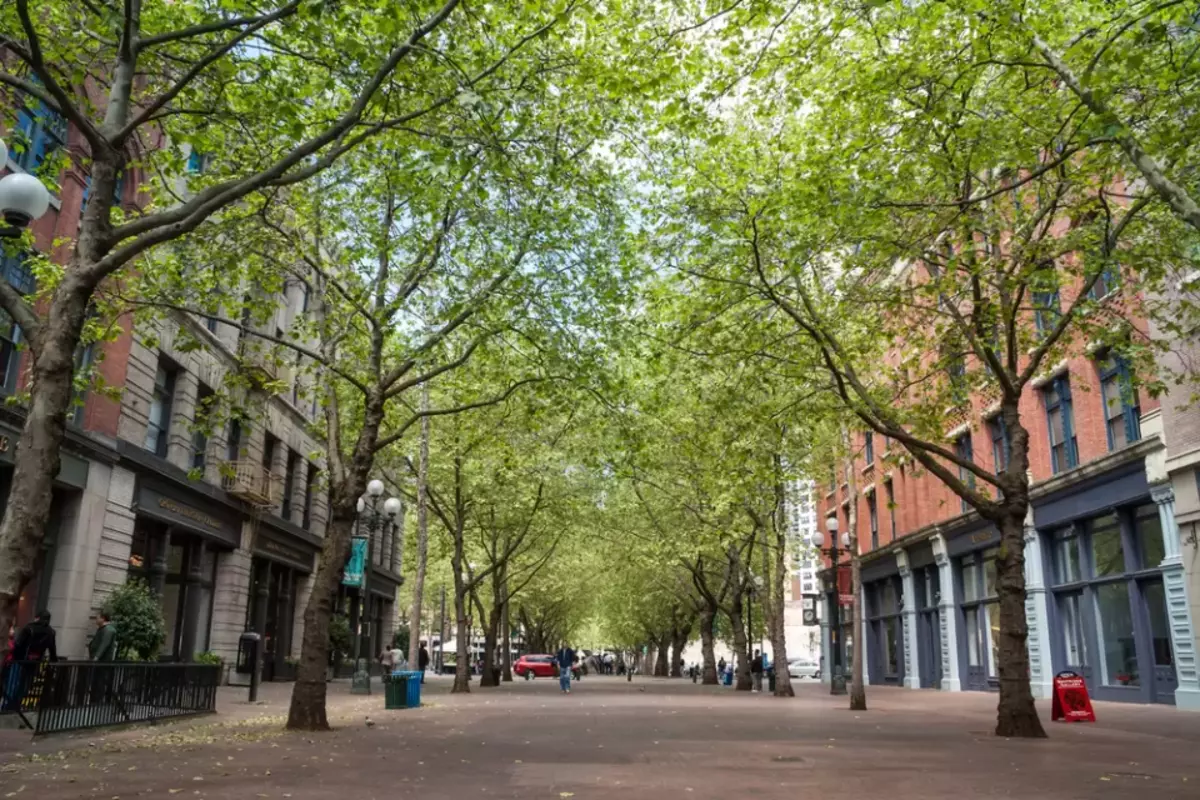 More Trees, Taller Buildings Next To Thin Streets Could Reduce Urban Heat Island Effect