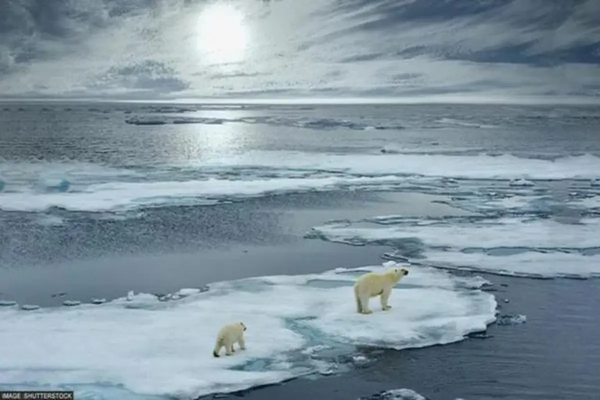 Scientists Find Increased Warmer Inflows Into Arctic In 2010s, Predict More Sea-Ice Decline