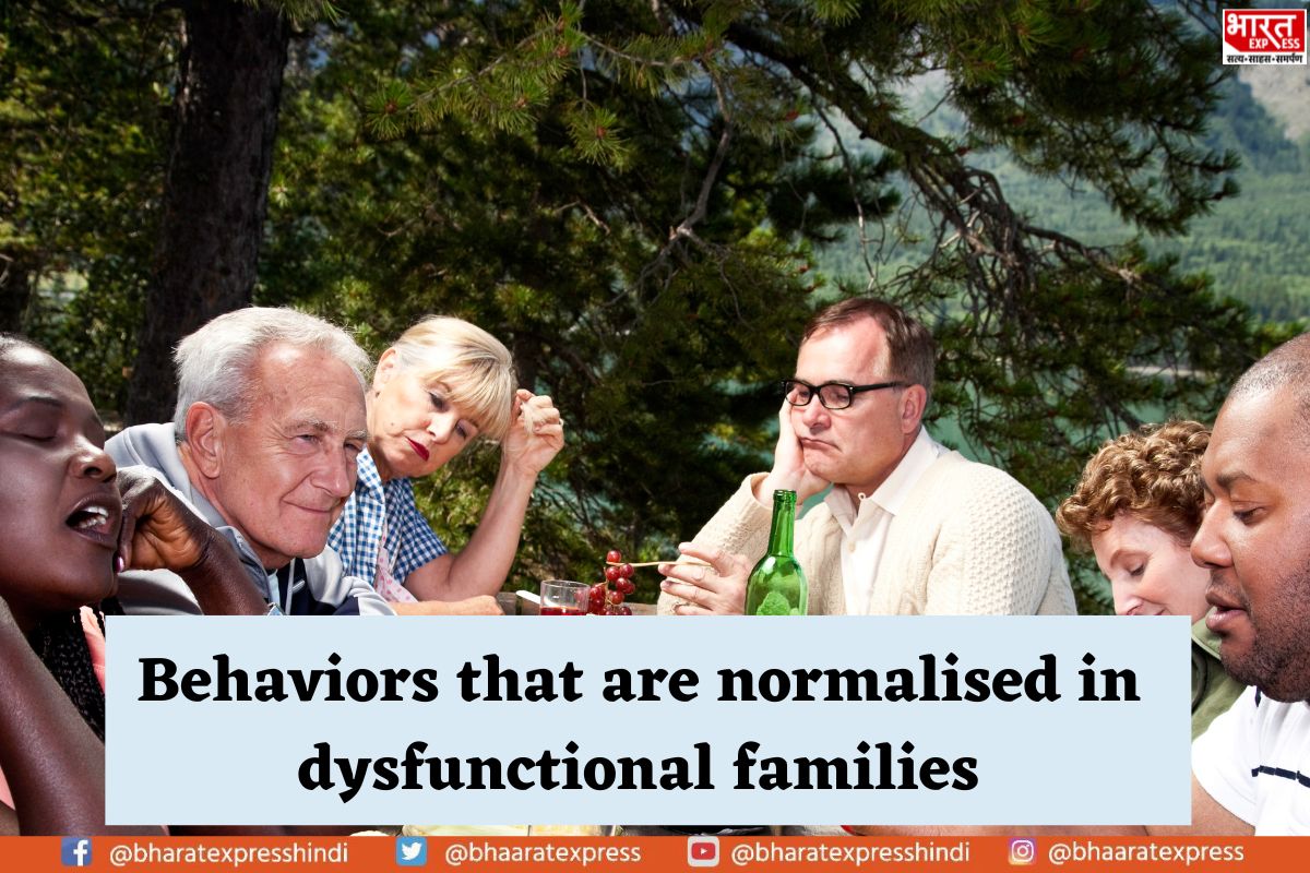 Unveiling Dysfunctional Family Dynamics: Normalized Behaviors and Their Impact