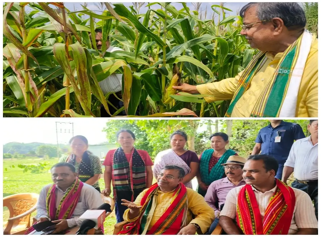 Tripura: Maize Production Yields Profitable Results; Minister Ratan Lal Nath Bats For Promoting Corn Cultivation