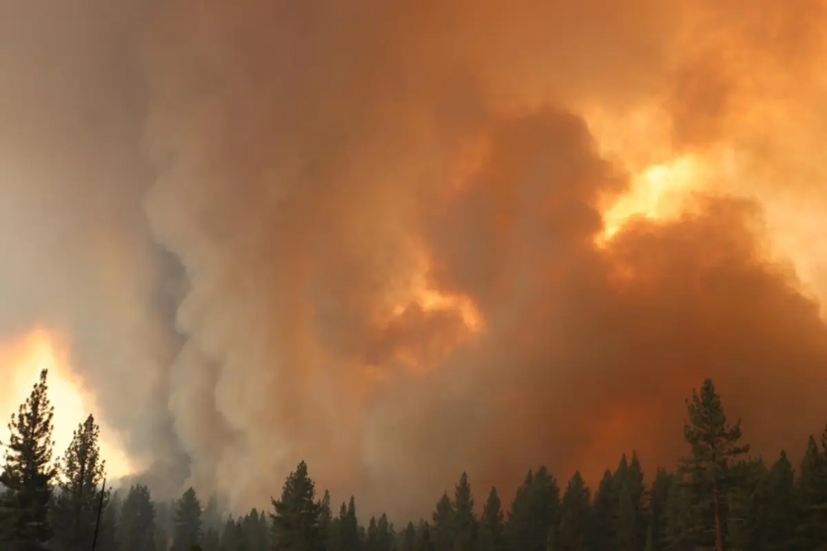 U.S. Starts Providing Real-Time Satellite Data To Canada To Aid With Wildfire Detection