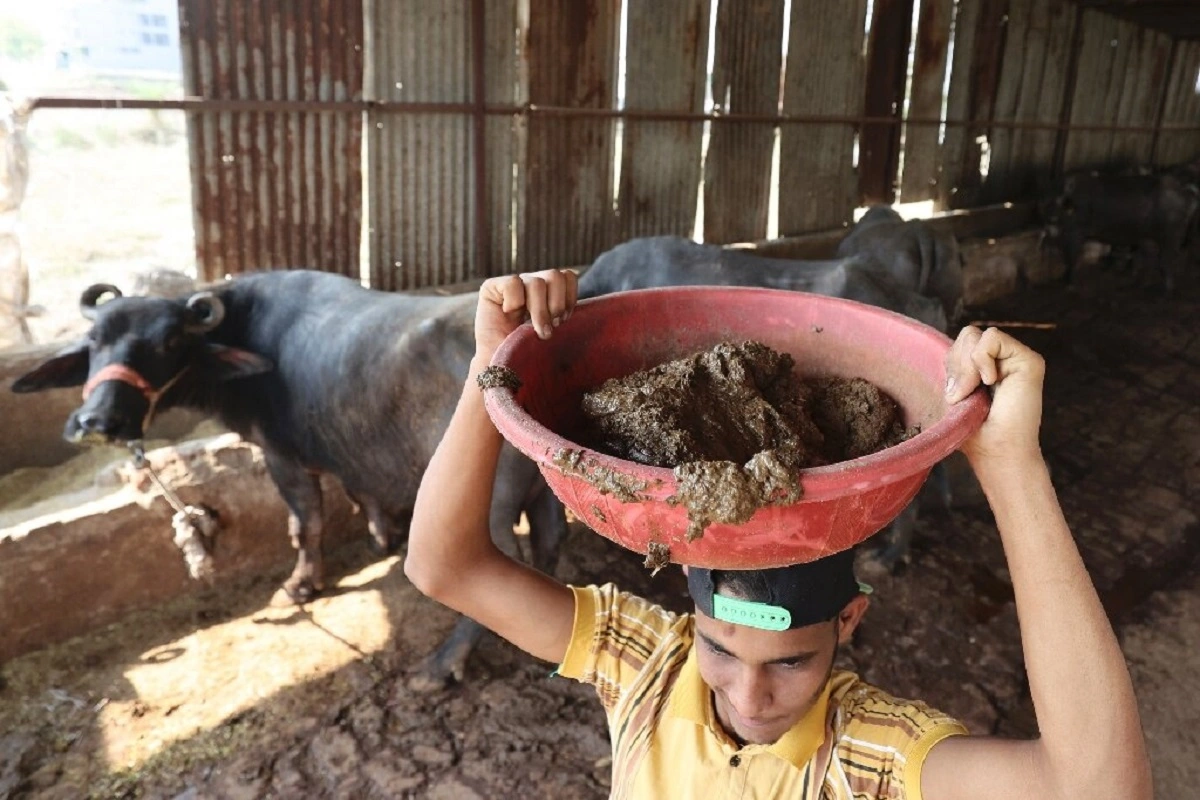 UP Teacher Uses ‘Cow Dung’ To Make A Variety Of Household Items