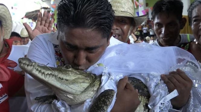 Mexican Mayor Weds Crocodile To Bring Luck As Per Centuries Old Ritual