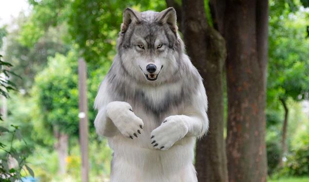 “Powerful Experience”: Japanese Man Spends Rs 20,000 To Turn Into A wolf