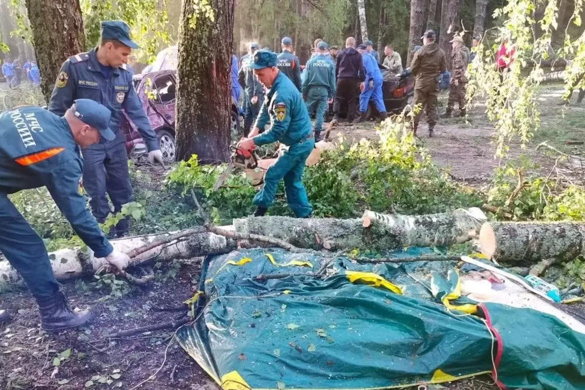 8 People Perish After Trees Fall On Campsite During A Severe Storm In Russia