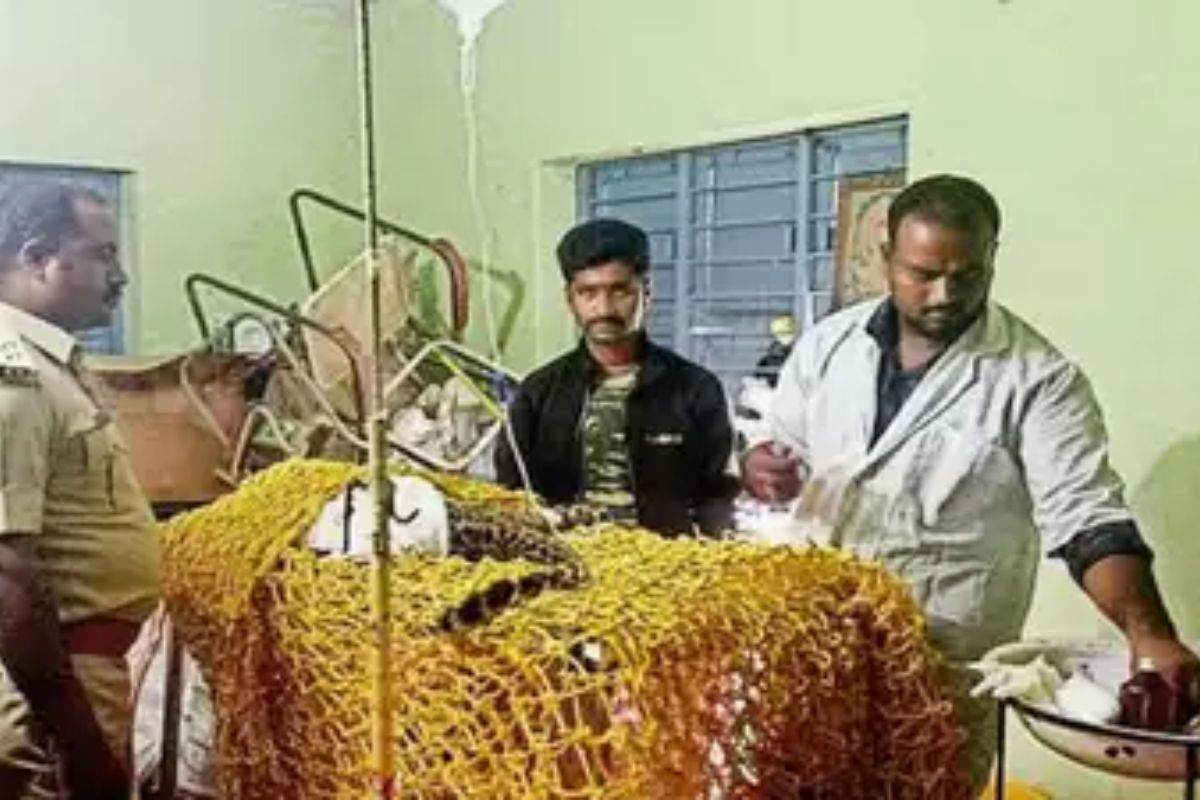 Karnataka Man Rescues Leopard; Ties It To Bike With Rope And Takes It To The Vet