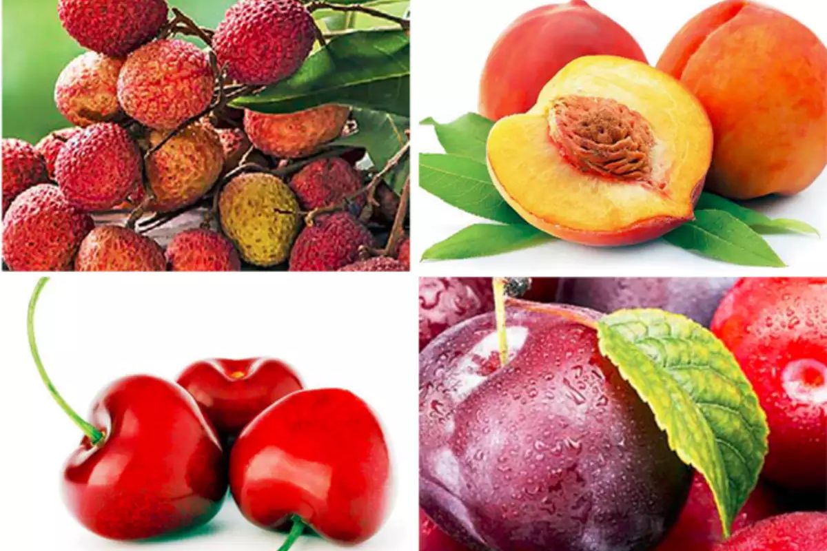 Boost Your Immunity with These Nutritious Monsoon Fruits