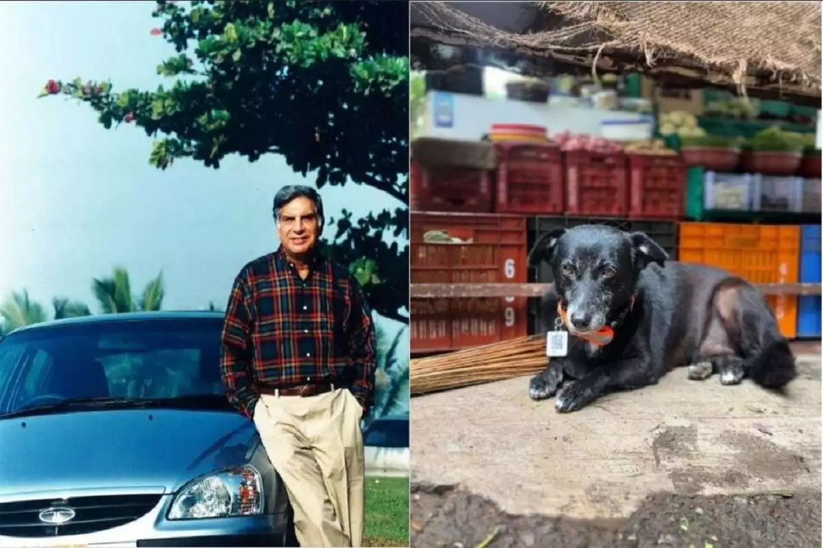Ratan Tata Urges People To Be Cautious Around Animals During The Rainy Season, Read What He Says