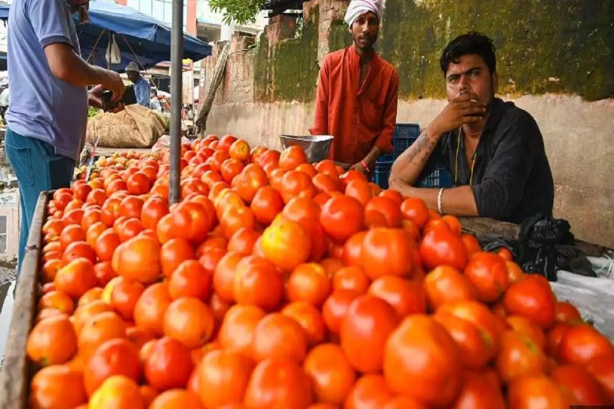 Buy Tomatoes At ₹70 Per Kg In Delhi From Today, Here’s How