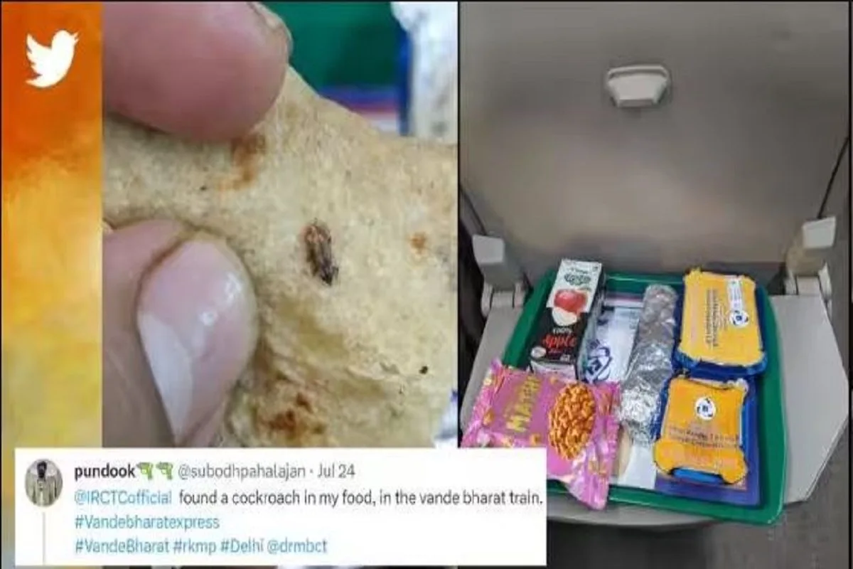 Passenger Finds Cockroach In Meal Served On Bhopal-Delhi Vande Bharat Express, IRCTC Responds