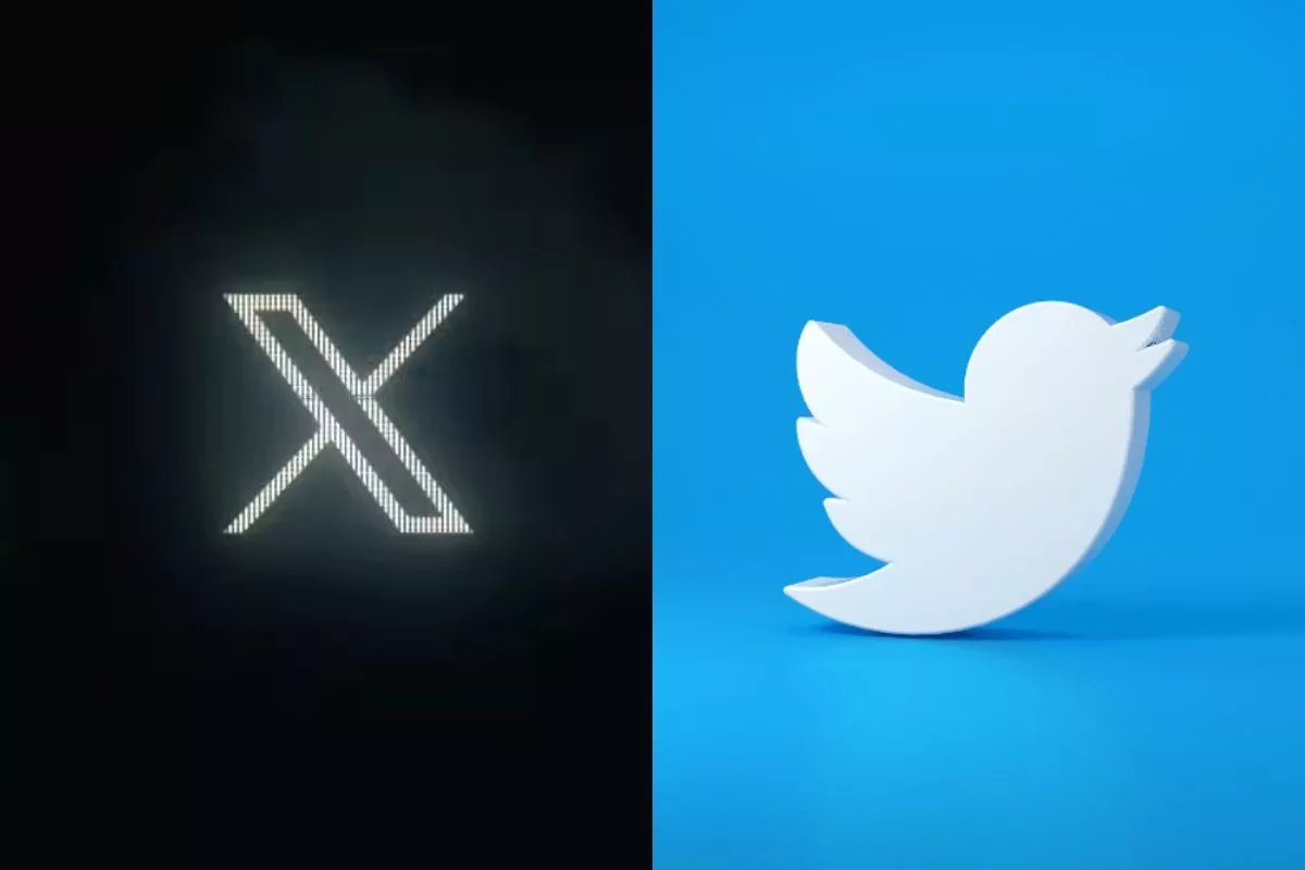 Blue Bird Logo Changing! Musk Will Be Changing The Iconic Twitter Logo
