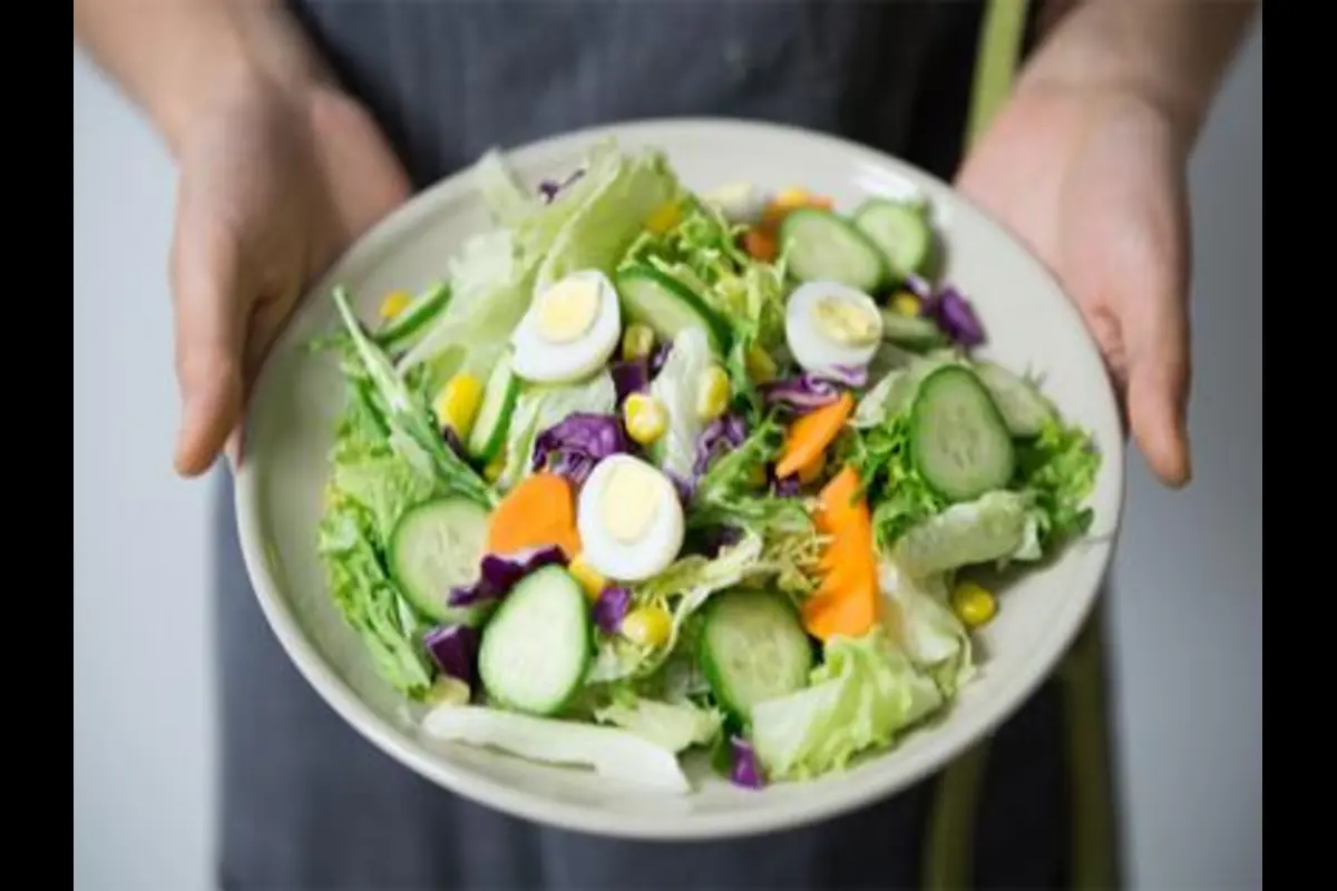 Study: Sanitized Ready-To-Eat Salad May Contain Disease-Causing Bacteria