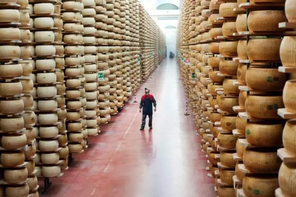 After Being Crushed By 25,000 Cheese Wheels, An Italian Man Perishes
