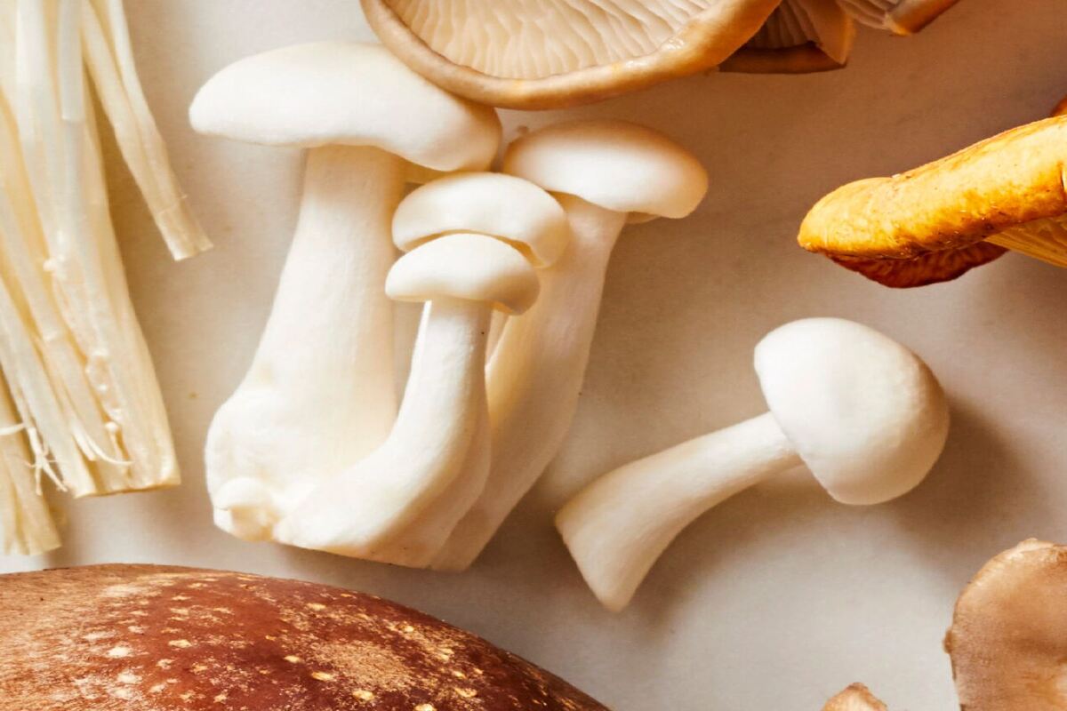Eating Mushrooms In Supper Killed 3 Family Members In Australia, Case Filed