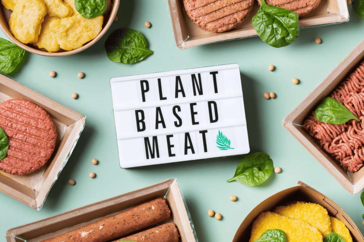 The meat alternatives are also manufactured by using proteins from cereals like maize, rice, wheat, oil seed, beans , lentils, pea etc