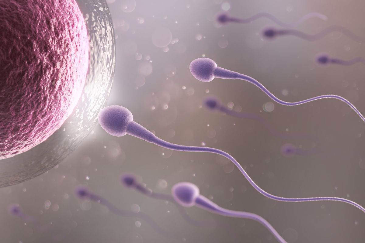 Essential Tips For Men To Maintain Optimal Sperm Health