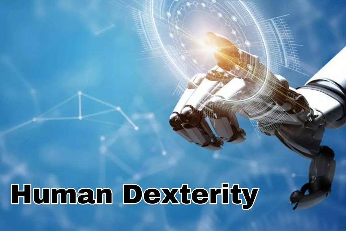 Human Dexterity