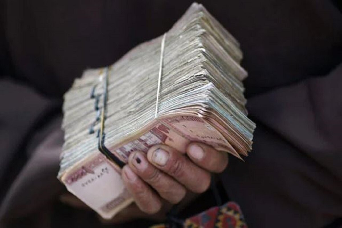 Moradabad: Termites Infest 18 Lakh Rupees In Bank Locker, Account Holder Stunned, Investigation Commences