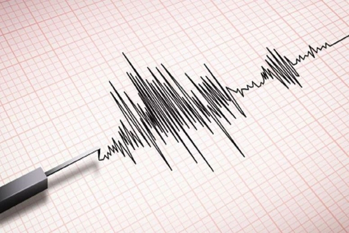 Earthquake In Himachal Pradesh: Quake Of Magnitude 2.8 Hits Mandi