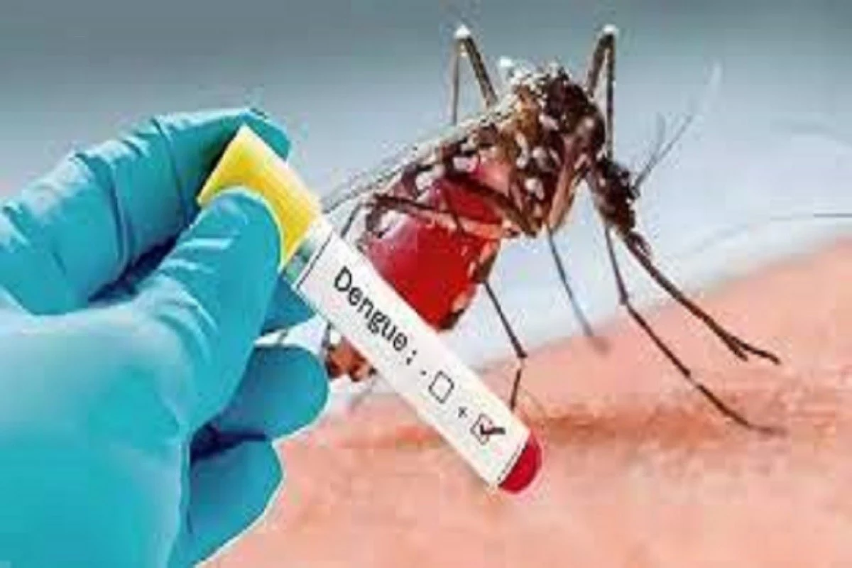 October 31, Lucknow In Uttar Pradesh, the number of new cases of dengue has surpassed 1700.