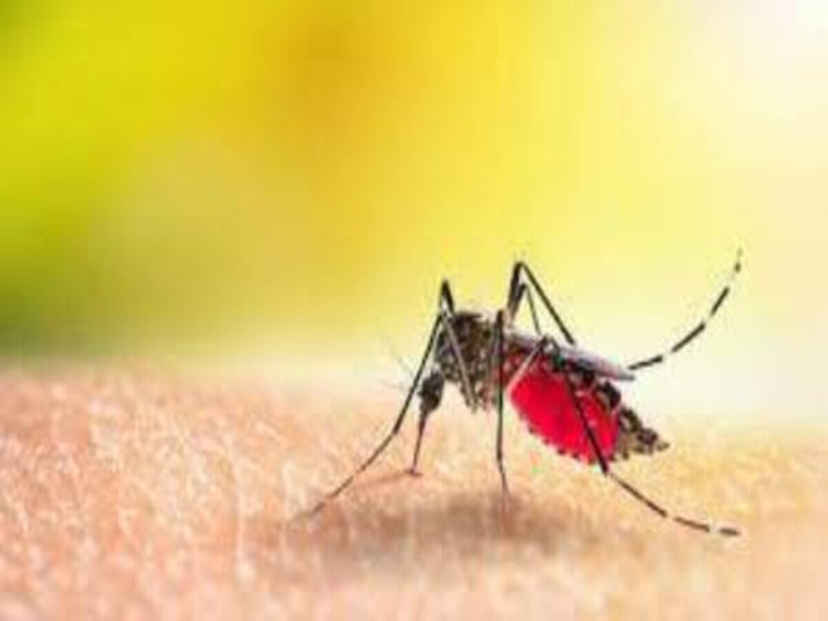 PRAYAGRAJ: Dengue kills 11 villagers in last 30 days