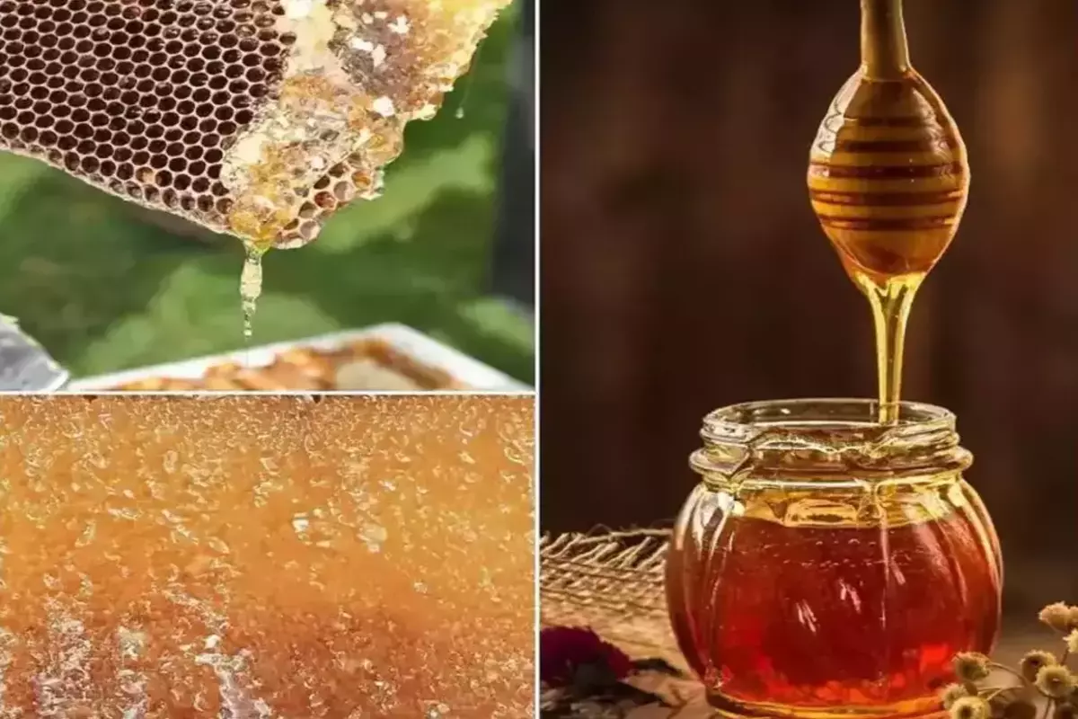 Salt Range Foods to concentrate on retailing honey products outside of Guwahati