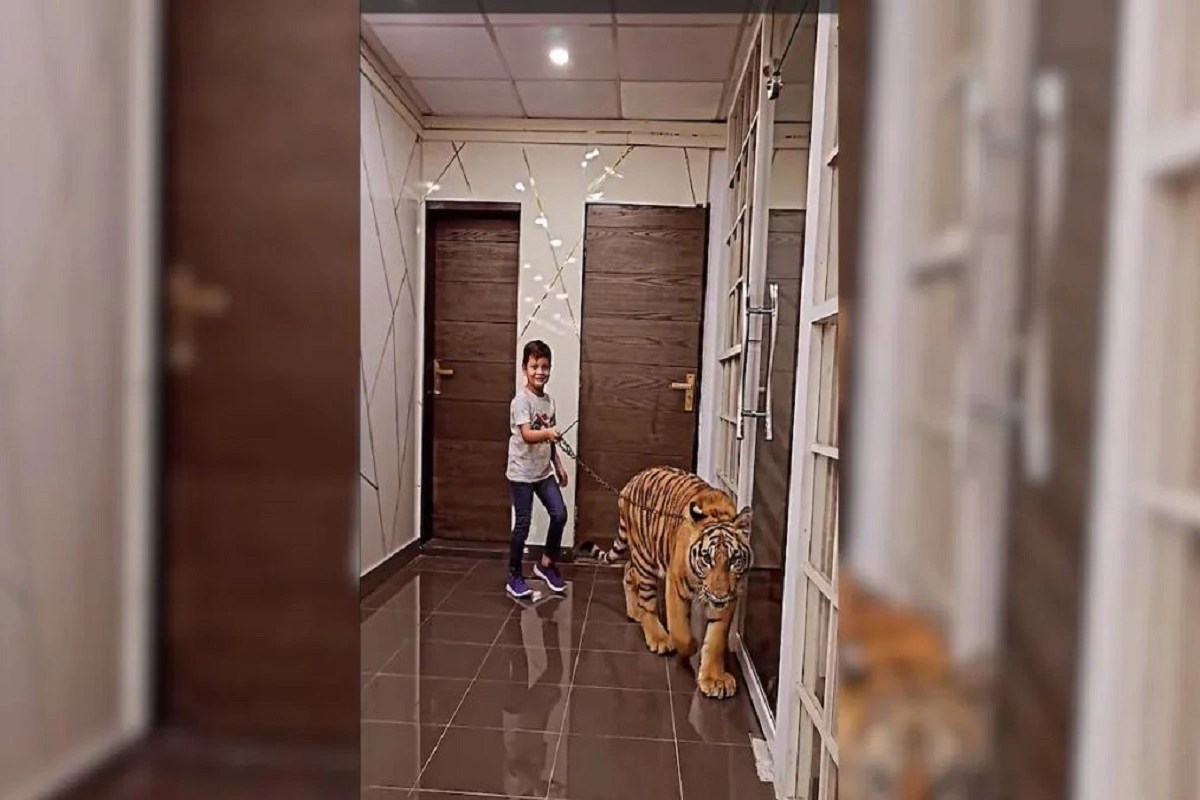 YouTuber from Pakistan shares video of boy chasing a chained tiger, leaving the internet in shock