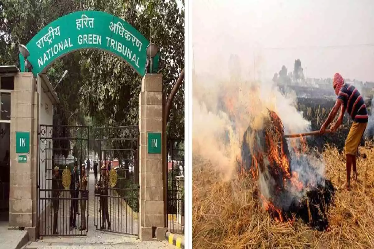 NGT expresses concerns and scrutinizes stubble burning crisis: Dissatisfaction, Doubts, and Ongoing judicial review