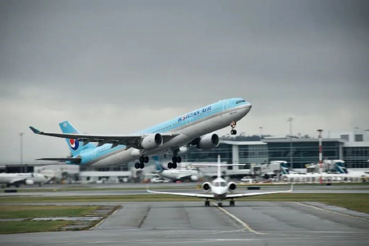 Woman attempts to open emergency exit on Korean air plane