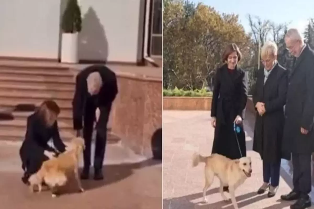 Dog of Moldovan President bites the hand of his Austrian counterpart