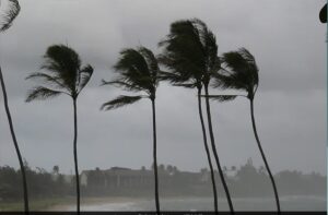 Cyclone ‘Michaung heading towards Tamil Nadu coast, IMD predicts heavy rain