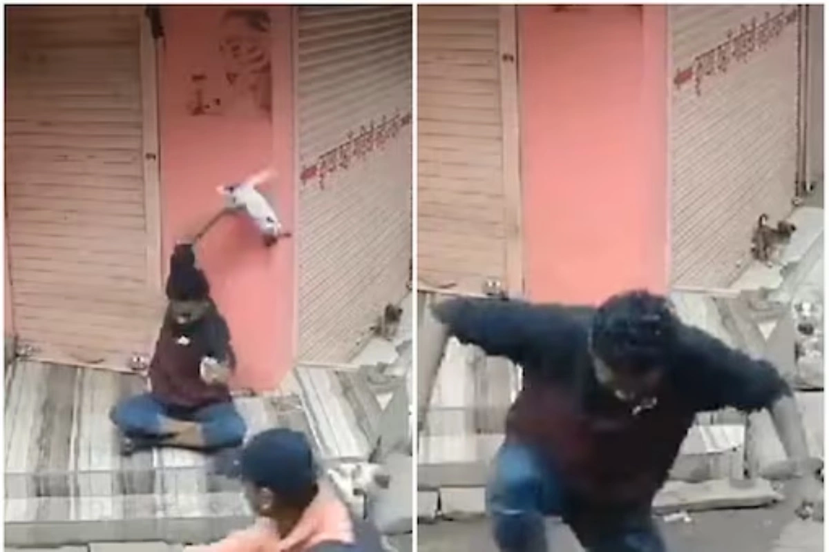 CM Shivraj reacts to horrifying video: Man seen thrashing and stomping on Puppy in Guna, Madhya Pradesh