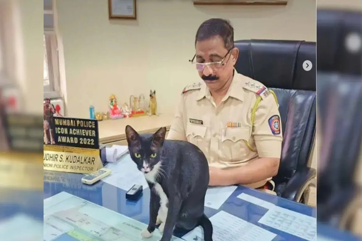 Adorable Intruder: Sleepy Cat Claims Senior Inspector’s Seat at Mumbai Police Station